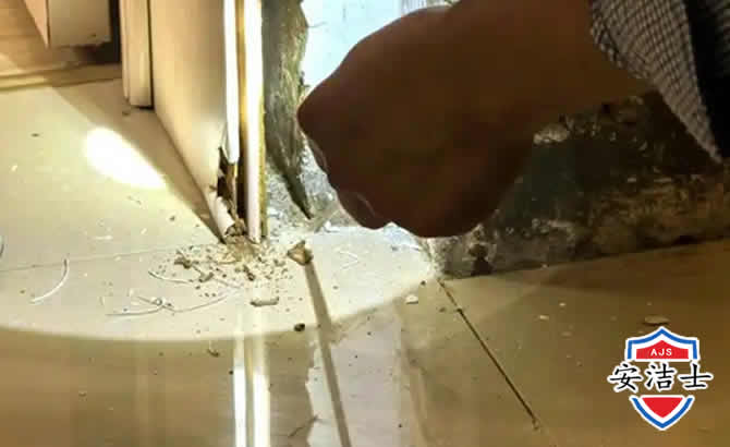 上海房屋建筑防治白蚁