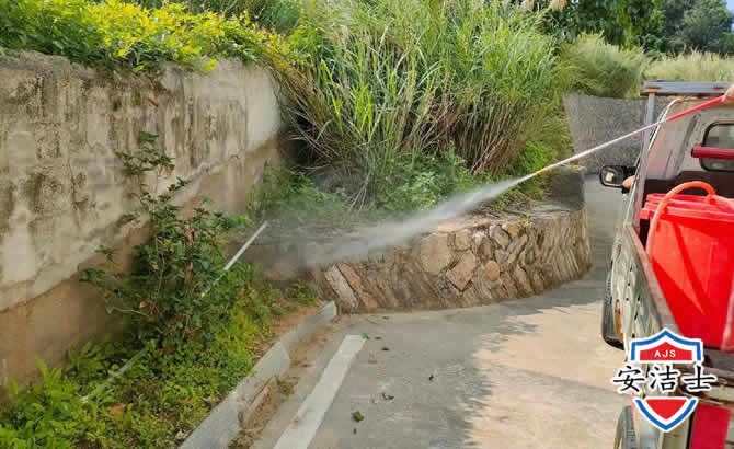 上海道路堤坝白蚁防治