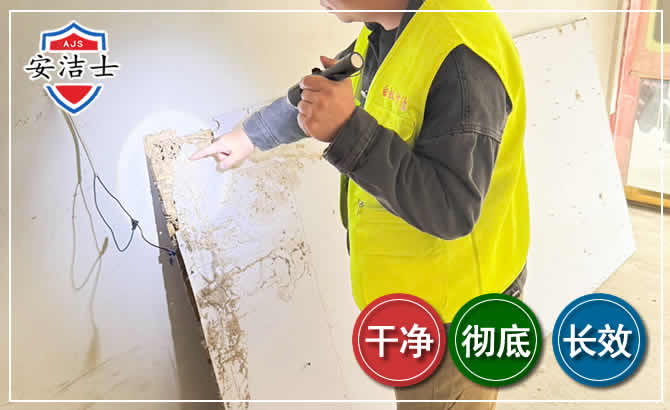 上海除白蚁现场