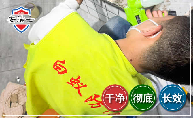 上海白蚁根治现场